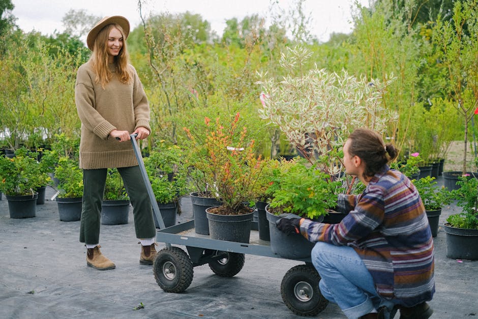 How to Cultivate a Growth Mindset Together