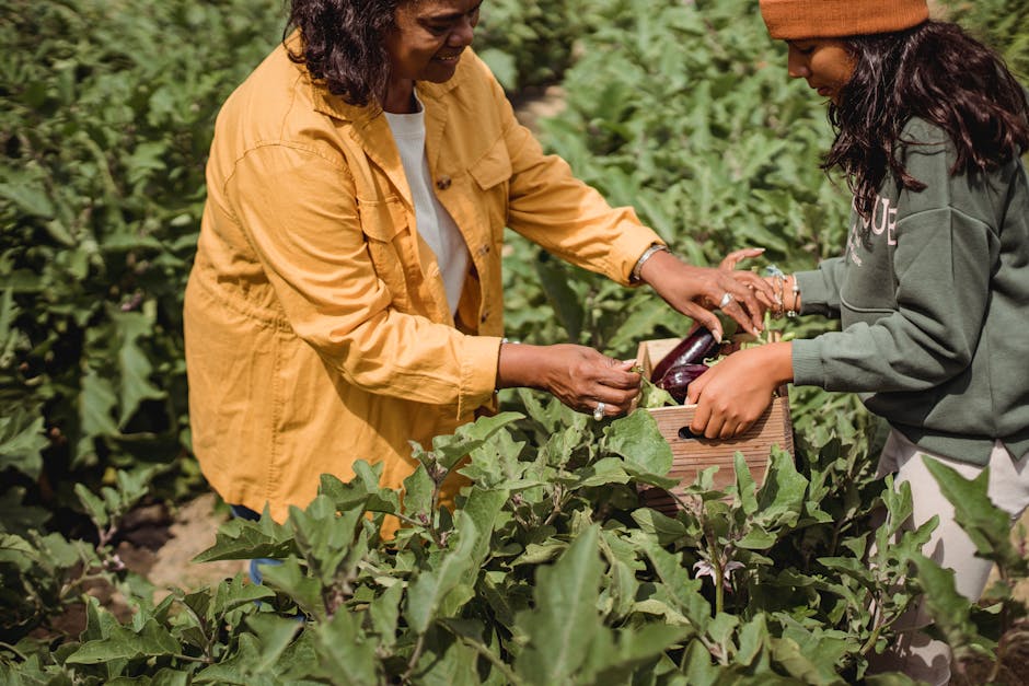 How to Cultivate a Growth Mindset Together